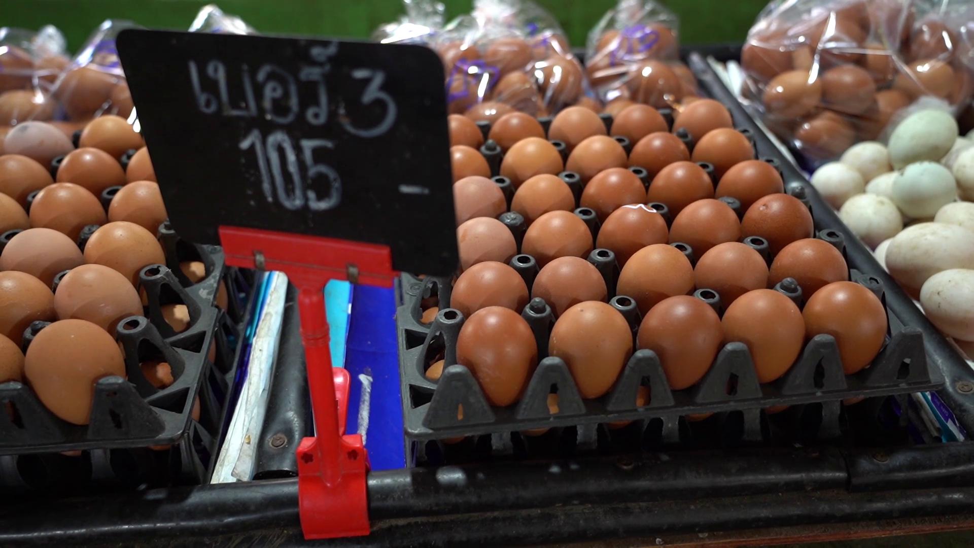 แผงขายไข่ไก่ชัยนาทเตรียมปรับขึ้นราคาหลังมีการปรับเพิ่มราคาไข่คละหน้าฟาร์ม