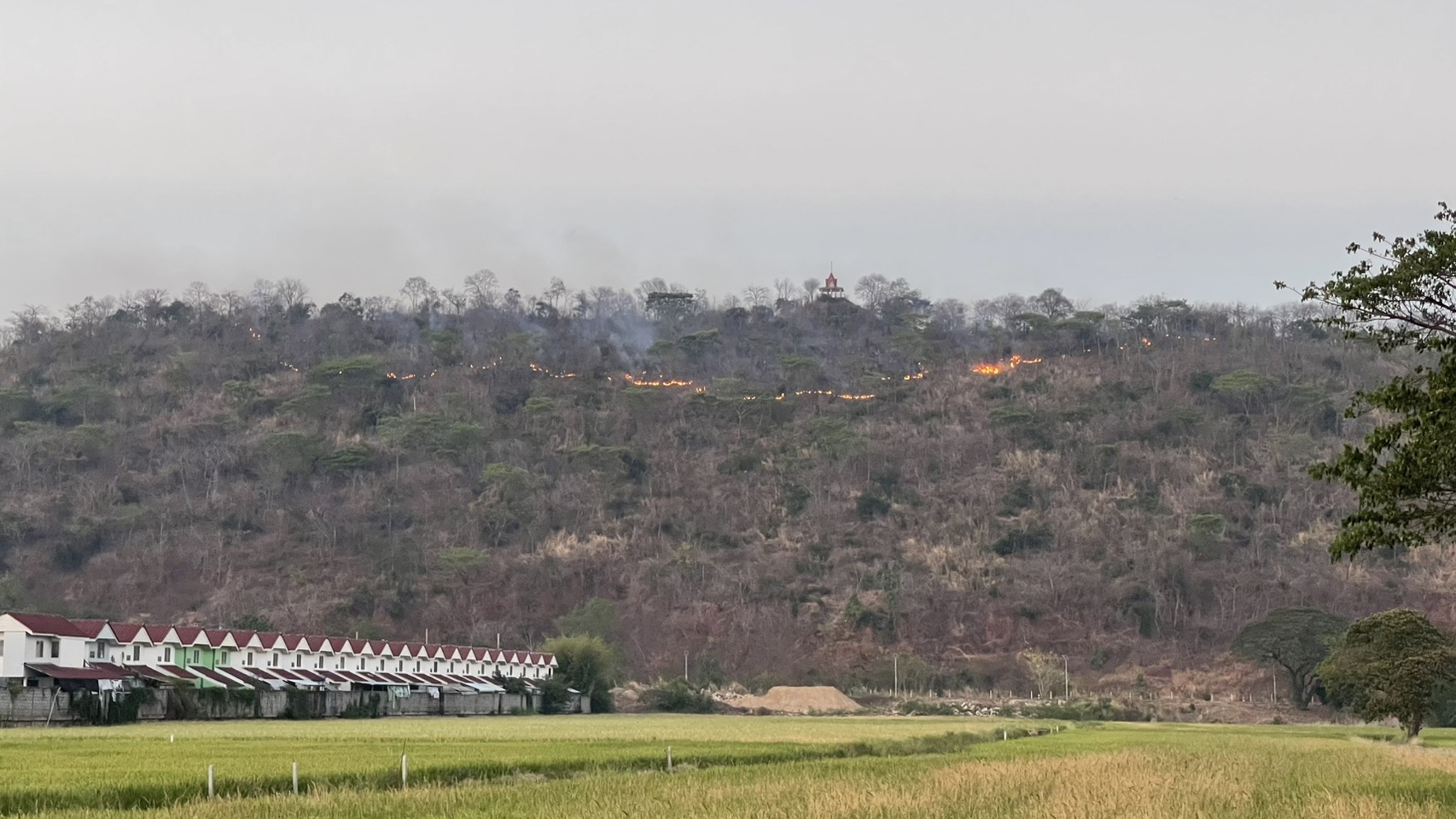 ด่วน! ไฟไหม้เขาท่าพระชัยนาทโหมหนัก นายก อบต. ระดมรถน้ำ ปภ.เขต 16 สกัดเพลิงลามเข้าสุสาน-บ้านเรือน สั่งเร่งไถแนวกันไฟหลังควันพุ่งหลายจุด ยังคุมสถานการณ์ไม่ได้